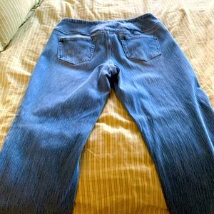 Kim Gravel belle jeans. Size 14 petite.